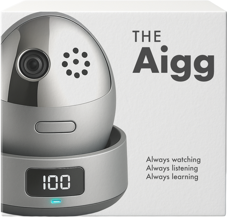 An image of the Aigg packaging